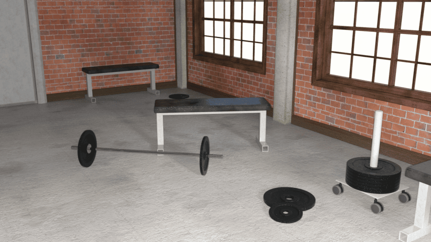 Weight Training 3d Model Environment