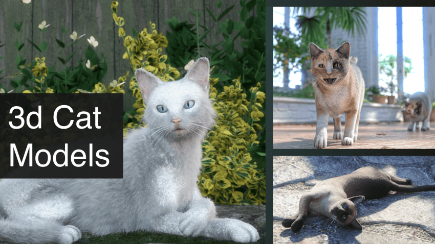 3d cat models