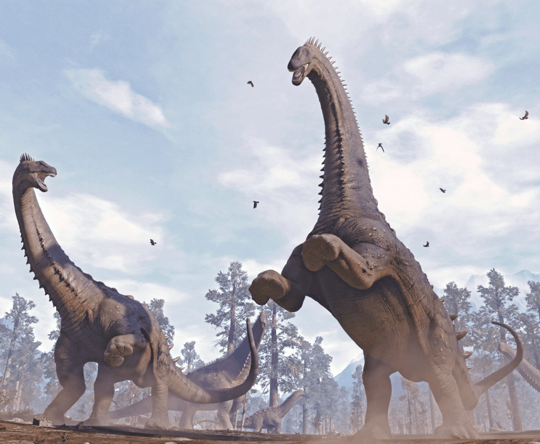 Alamosaurus Dinosaur 3d Model