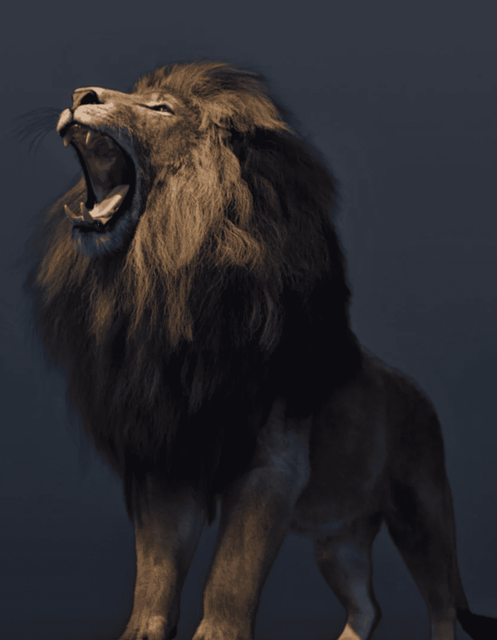 am lion 3d model