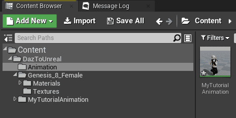 animation inside ue4