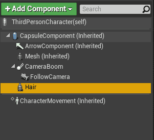 assets inside my player blueprint