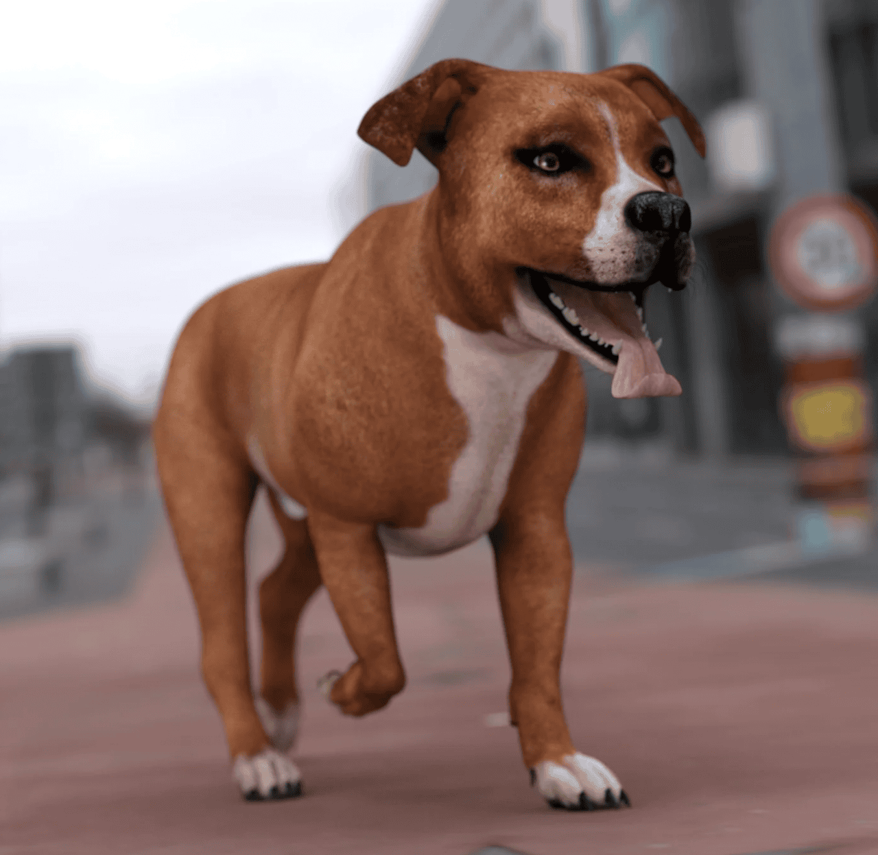 bully dog 3d model