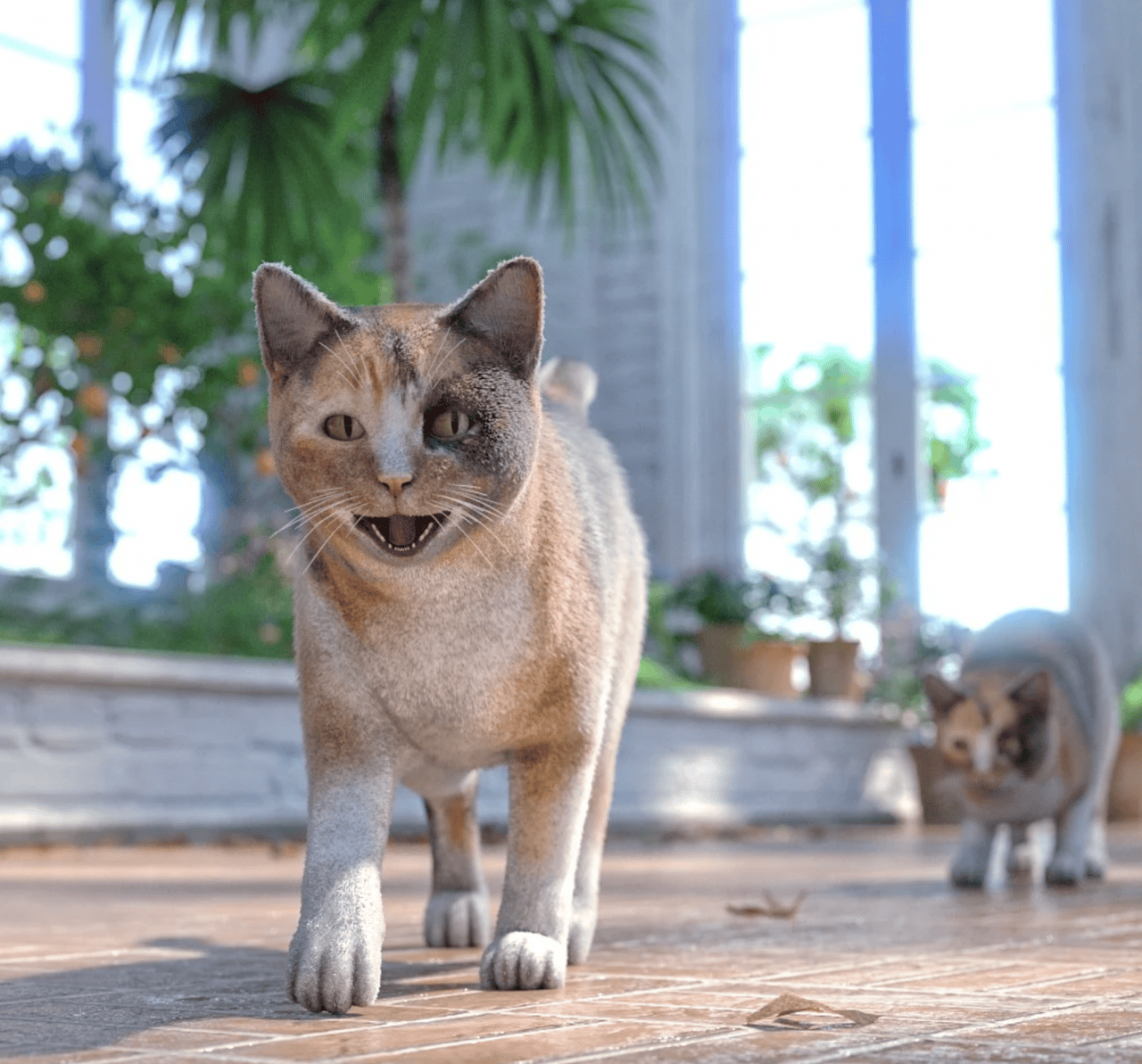 burmese 3d cat models
