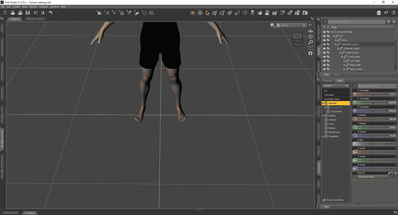 Camera point at figure fails in daz studio