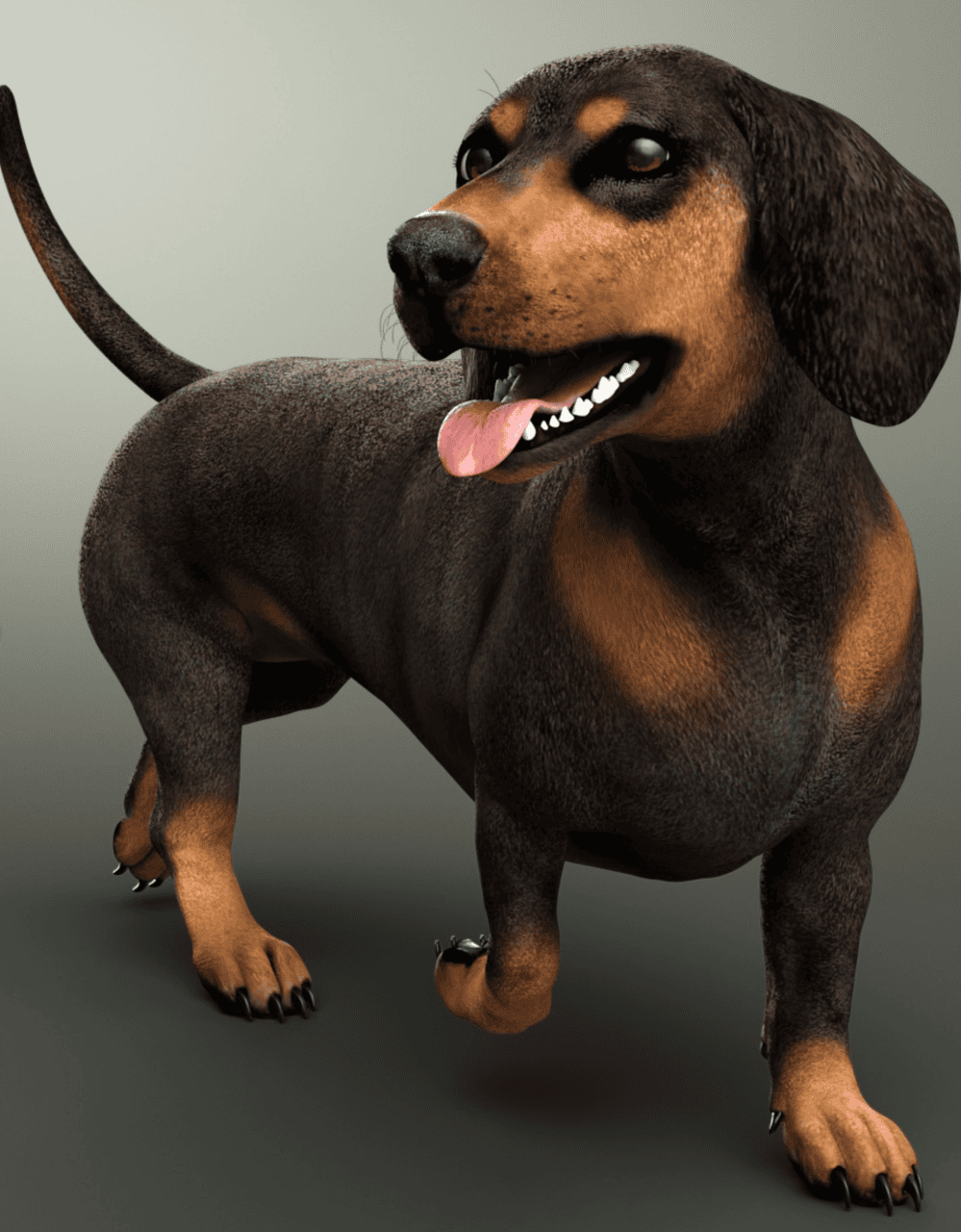dachshund dog 3d model