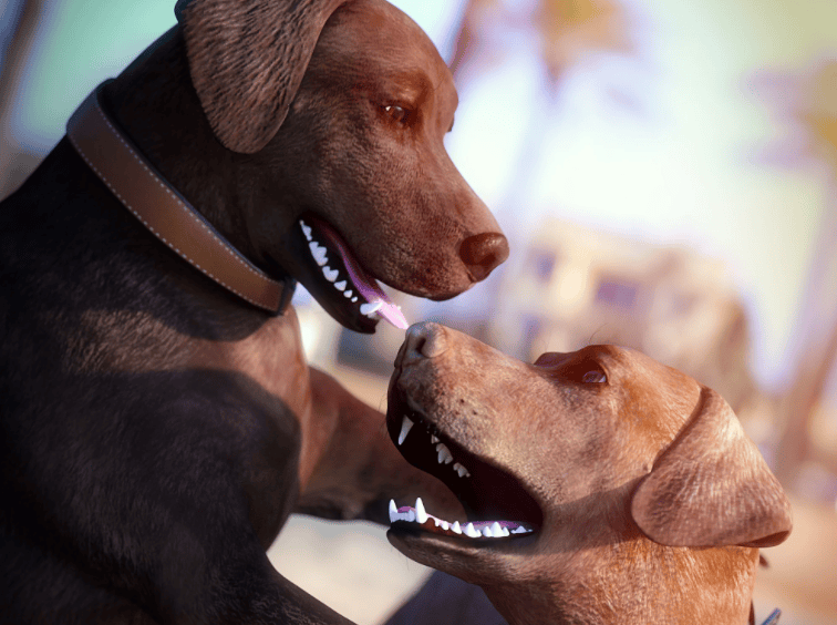 daz 3d dog 8 labrador breed animal