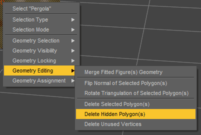 daz delete hidden polygons