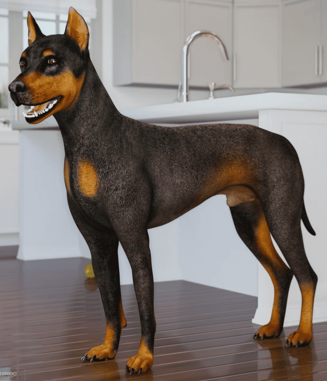 daz dog 8 3d model