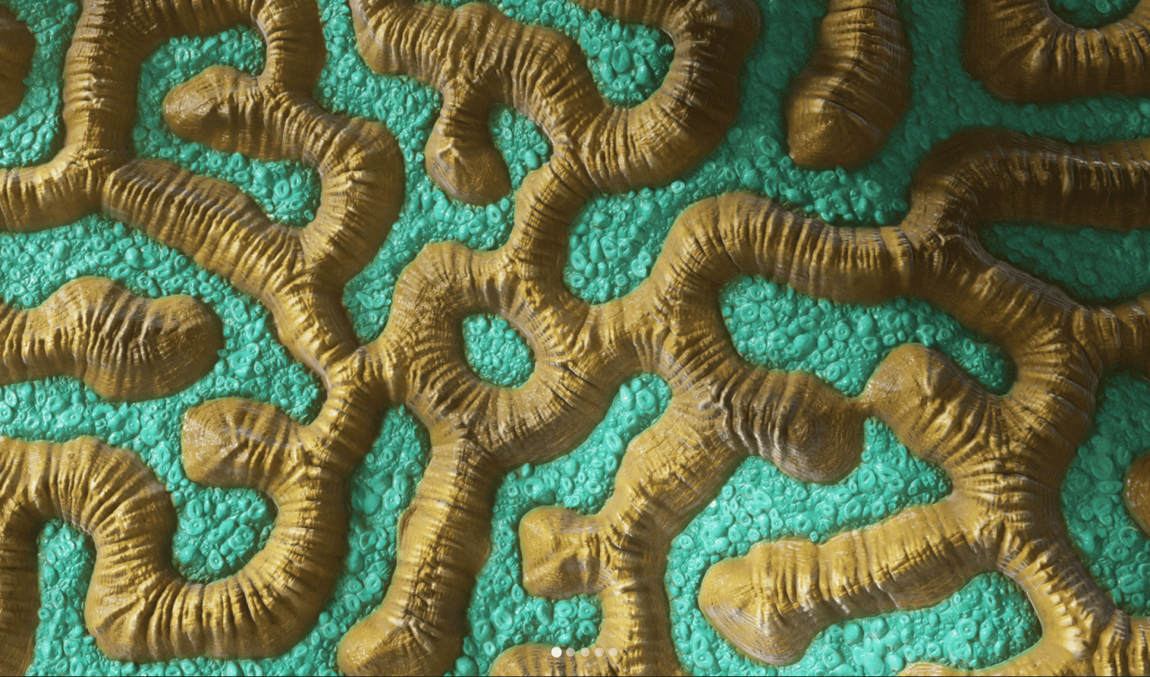 daz geoshell coral texture