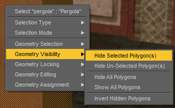 daz hide selected polygons