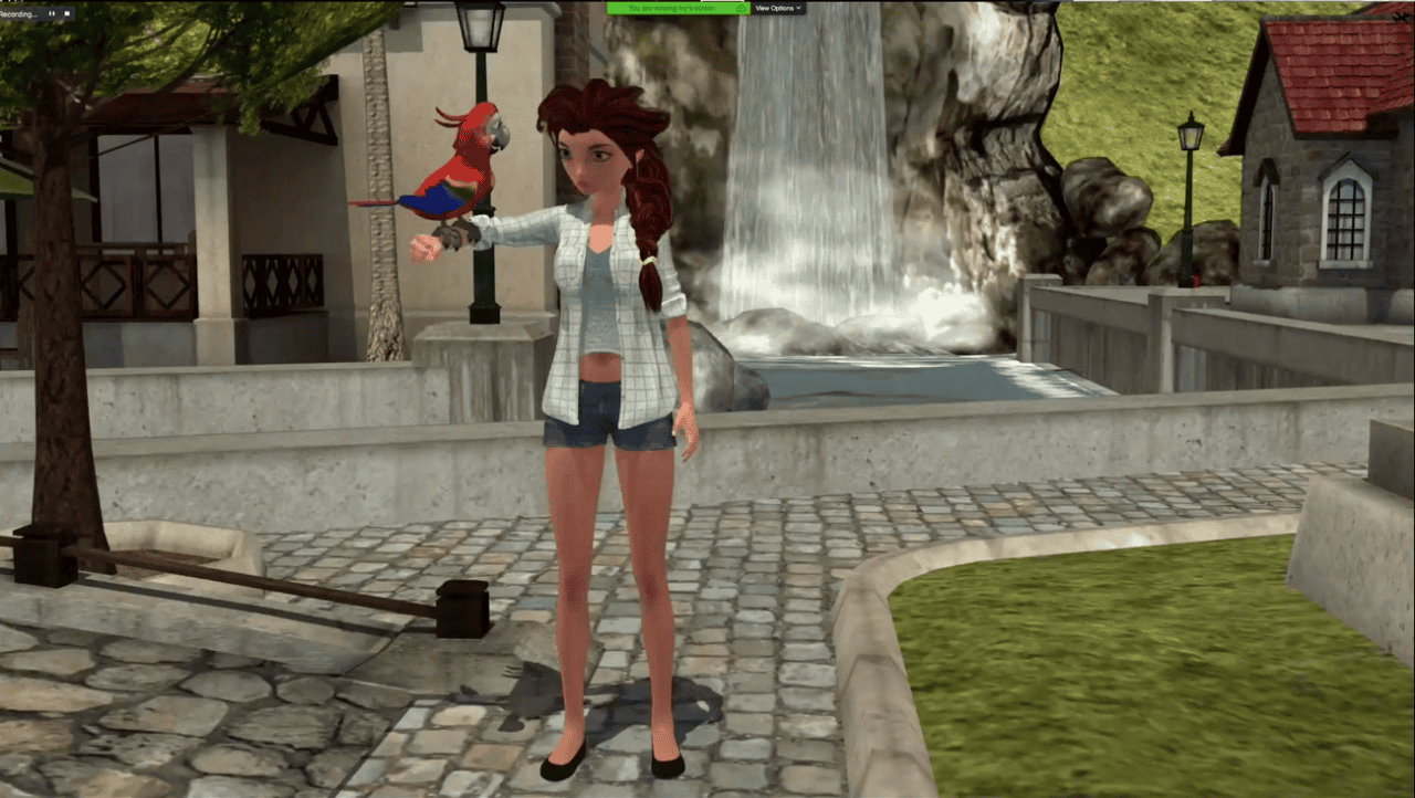 daz product for getting started with animations