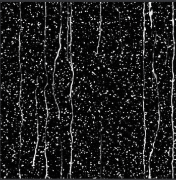 daz raindrops texture