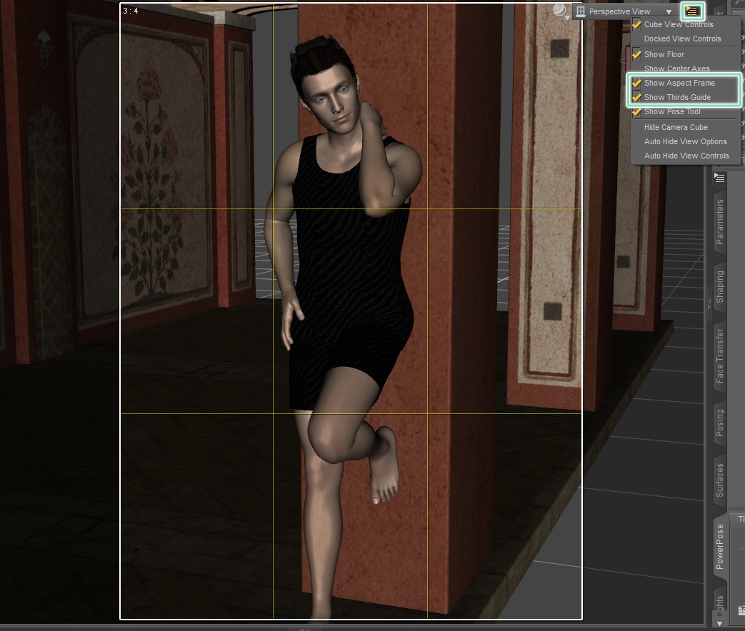 daz studio aspect frame