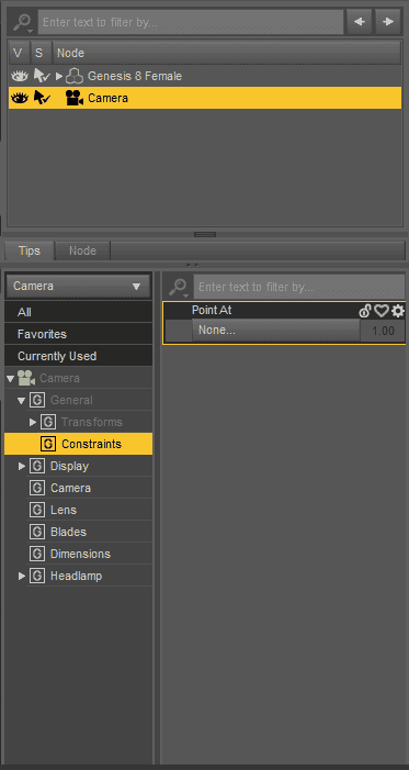 daz studio camera constraints