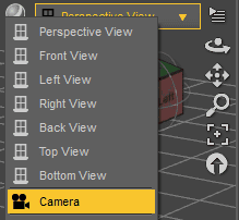change viewport to camera view in daz studio