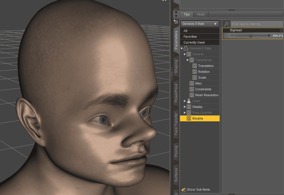 daz studio create custom morph step