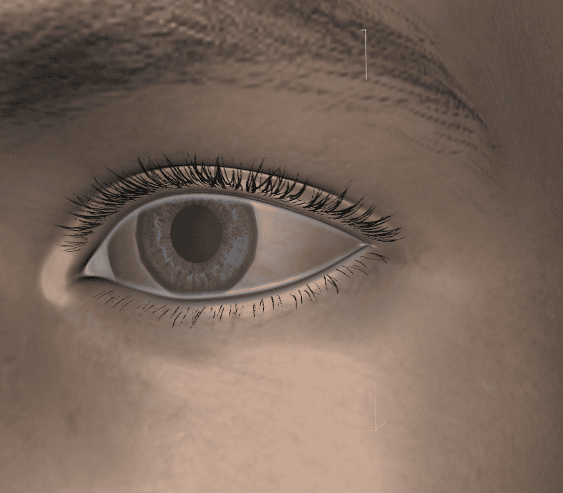 daz studio frame selection shortcut