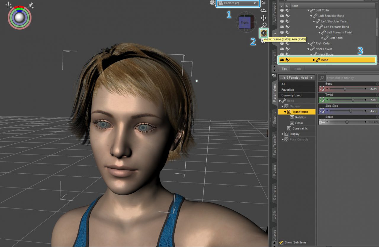 daz studio framing for depth of field