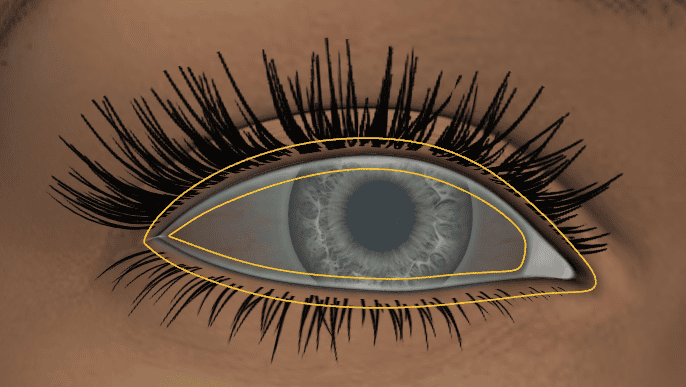 daz studio genesis8.1 tear