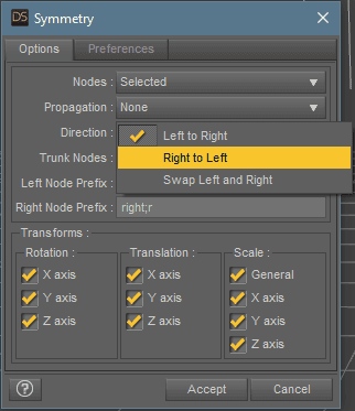 daz studio symmetry direction