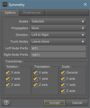 daz studio symmetry window