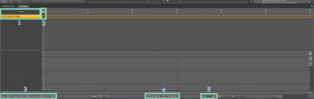 daz3d animation timeline