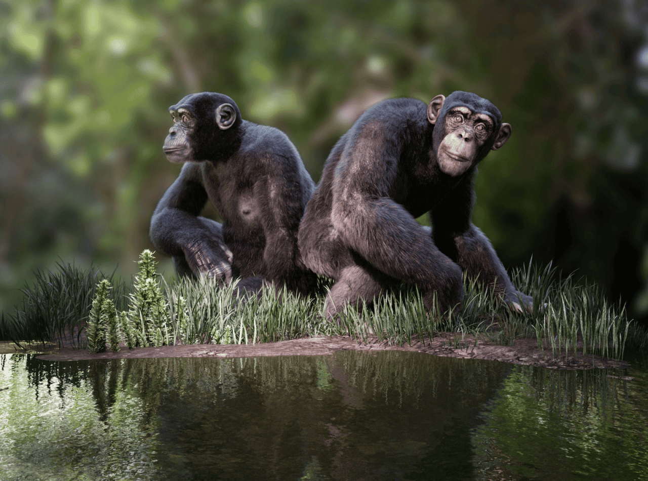 daz3d antropomorphs genesis 8