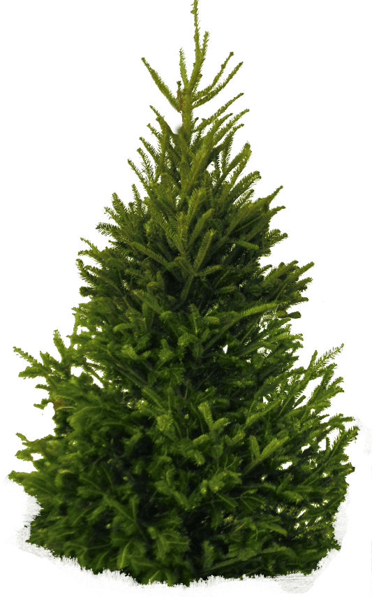 daz3d bush billboard game prop