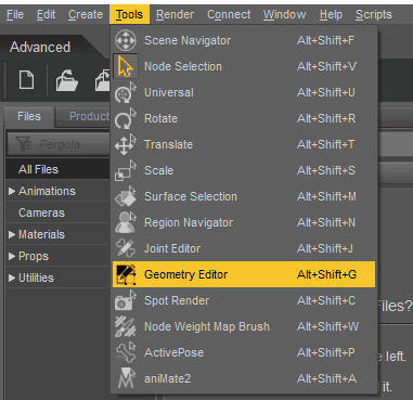 daz3d geometry editor