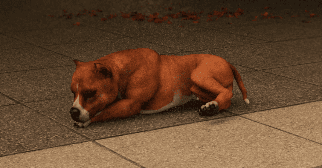 daz3d great poses daz dog 8 animal