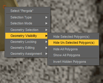 daz3d hide unselected polygons