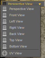 daz3d save time view change