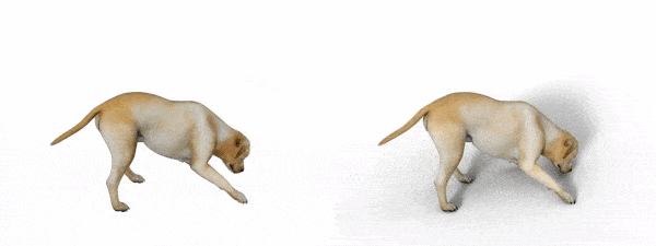 daz3d side filament iray comparison render quality animation