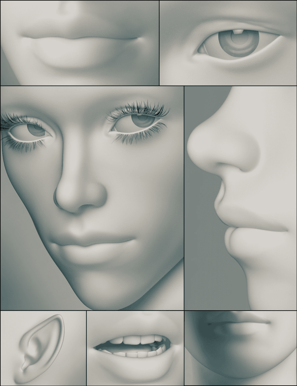 daz3d genesis 3 female head morphs