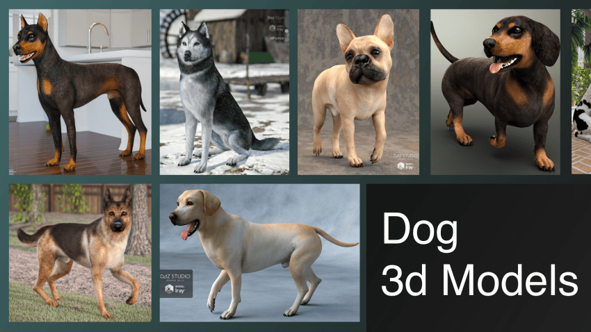 Best Dog 3d Model Review