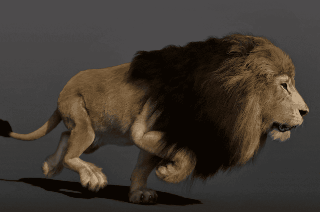 felidae lion dforce hair