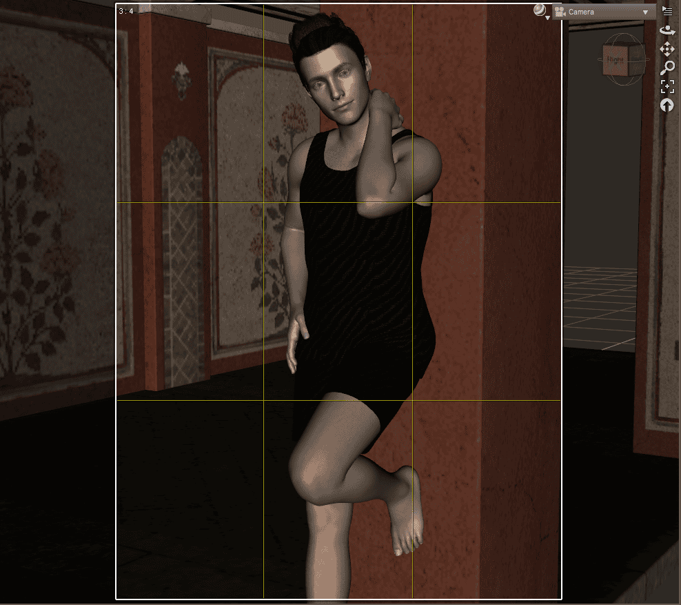 final camera setup in daz studio