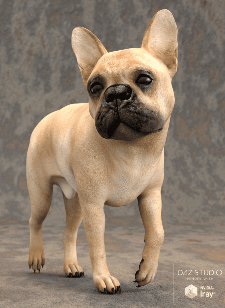 french bulldog 3d model