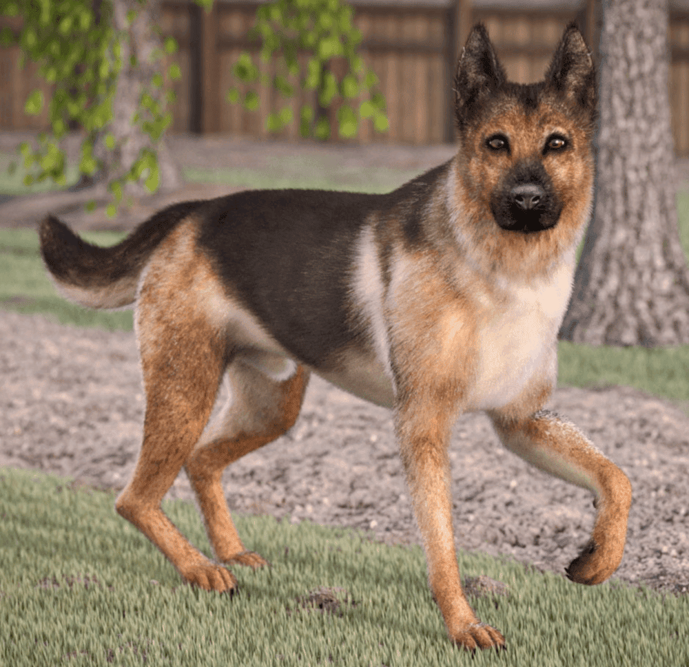 german shepherd dog 3d model
