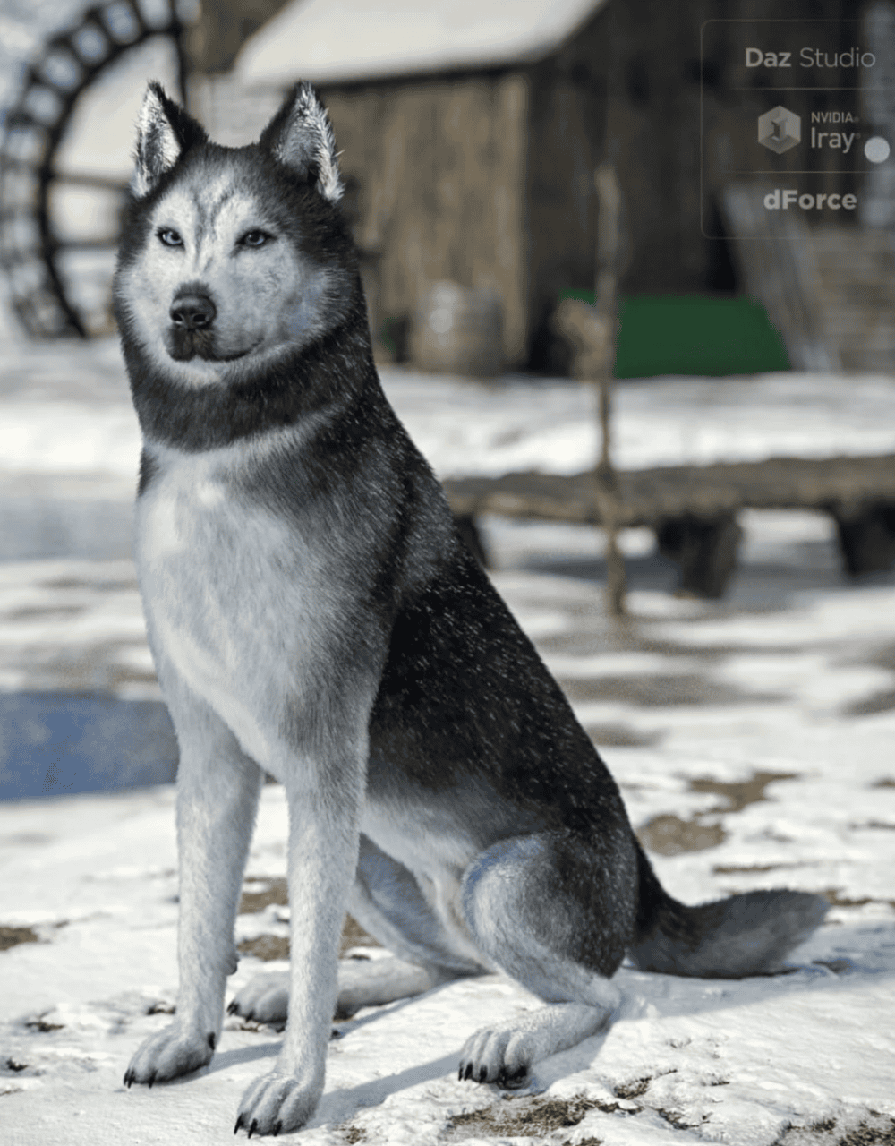 husky dog 3d model