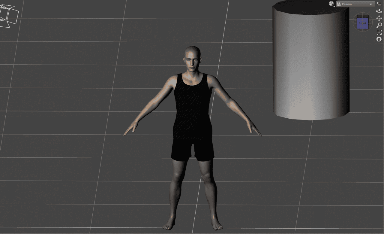 orthographic camera view in daz3d