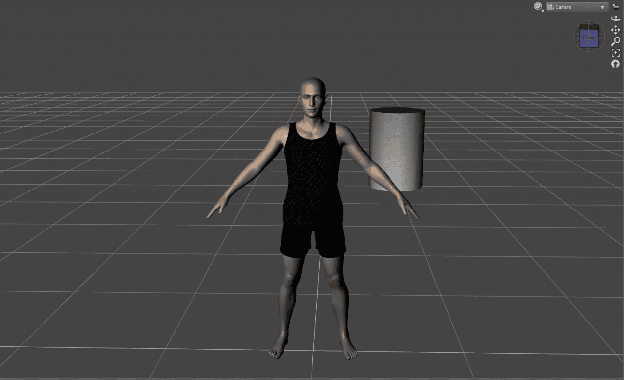 perspective camera in daz studio
