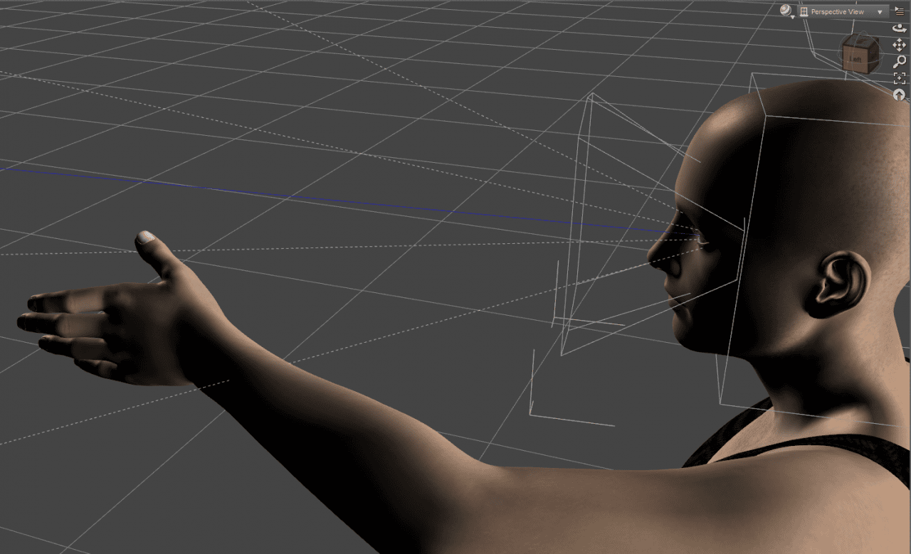 point of view daz camera