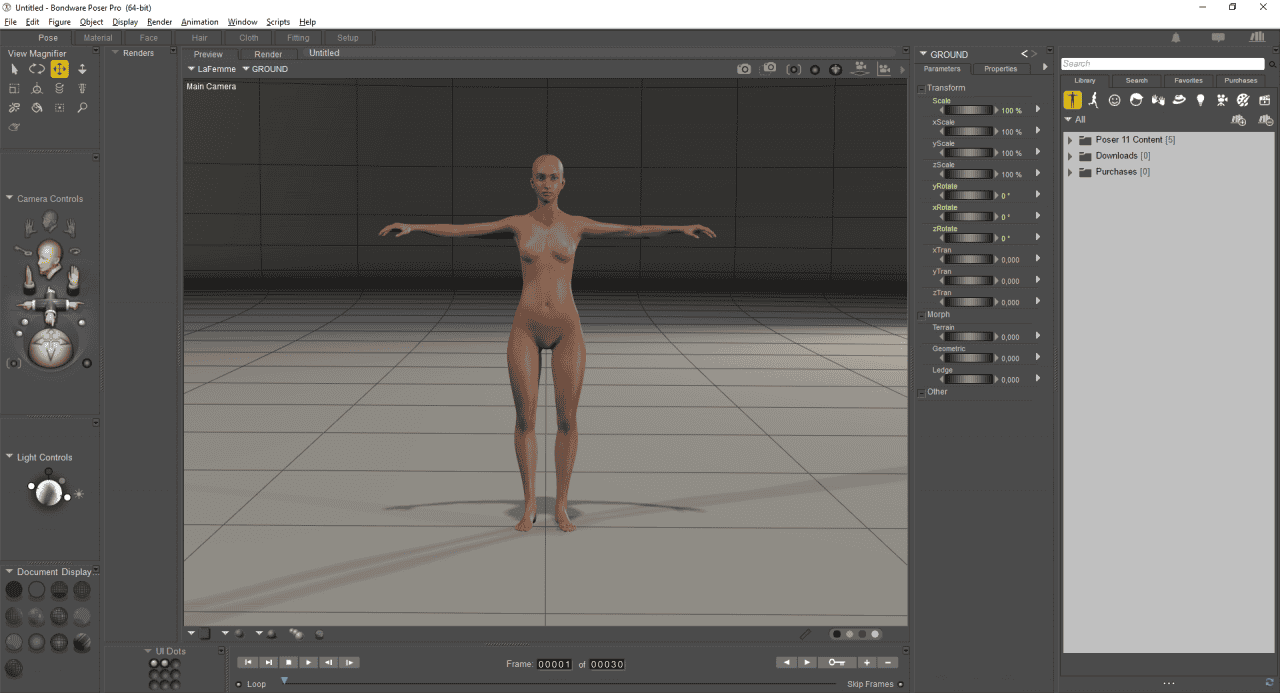 poser 3d software main interface