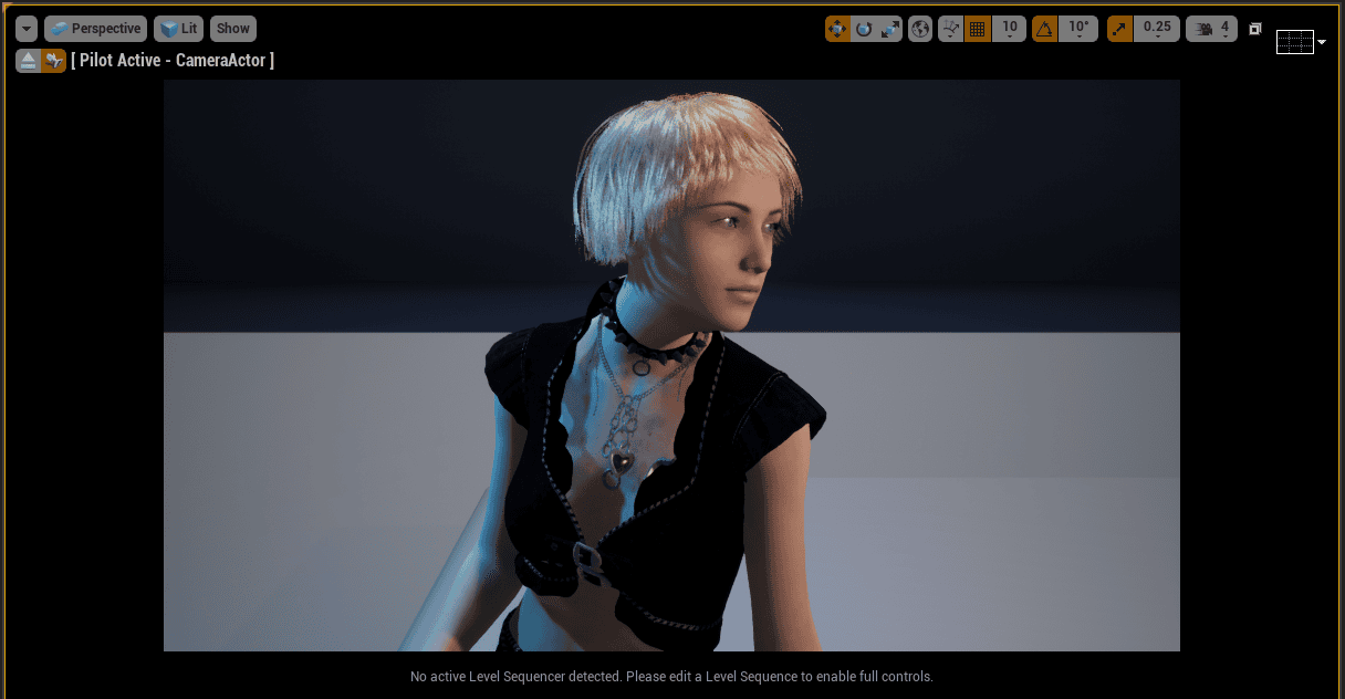 screen cap camera level setup