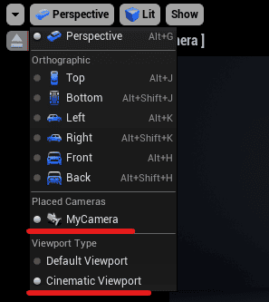 setting viewport to be the camera view and cinematic option