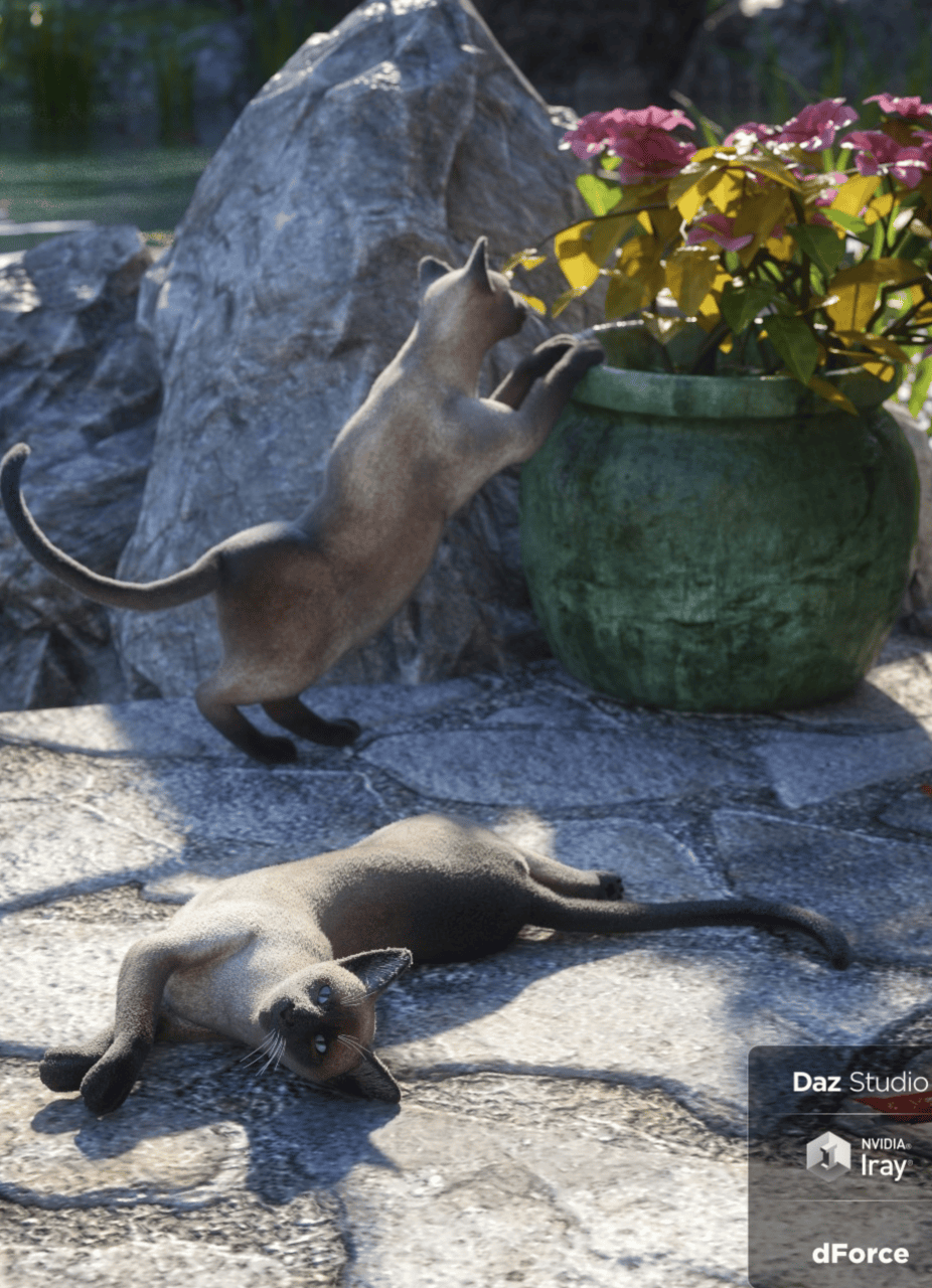siamese cat 3d models
