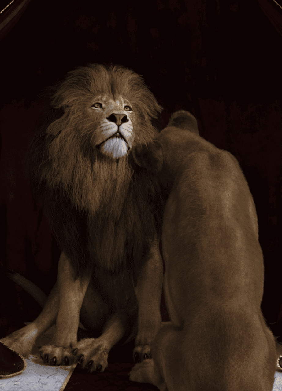 wild poses for felidae lion 3d model